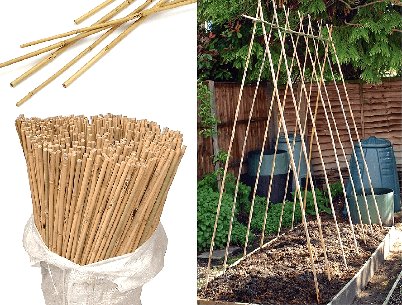 BAMBU BİTKİ DESTEK ÇUBUĞU 180 CM 50 ADET