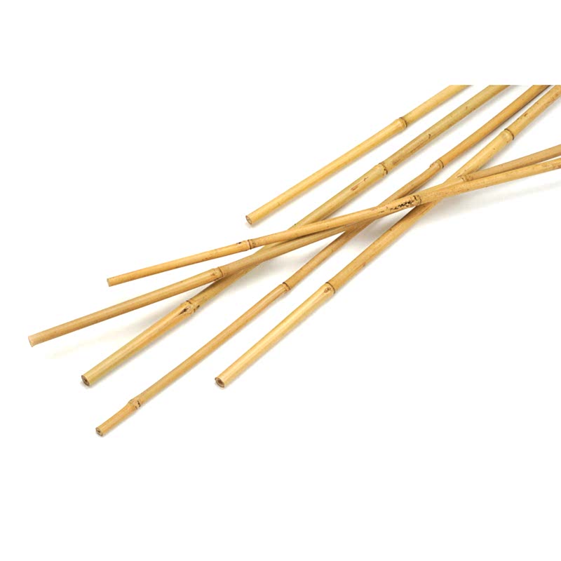BAMBU BİTKİ DESTEK ÇUBUĞU 180 CM 50 ADET
