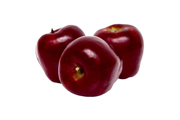 Red Chief Elma Fidanı 3 Yaş Tüplü ve Aşılı