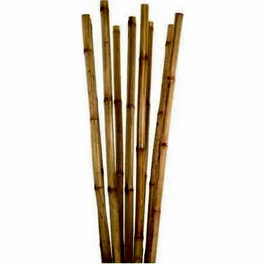 BAMBU BİTKİ DESTEK ÇUBUĞU 105 CM 20 ADET