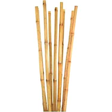 BAMBU BİTKİ DESTEK ÇUBUĞU 120 CM 10 ADET