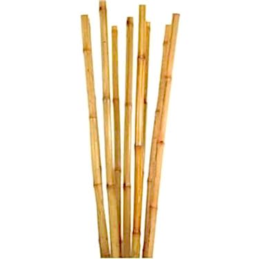 BAMBU BİTKİ DESTEK ÇUBUĞU 120 CM 20 ADET