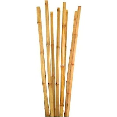 BAMBU BİTKİ DESTEK ÇUBUĞU 120 CM 50 ADET