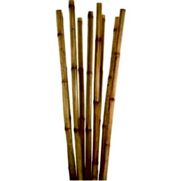 BAMBU BİTKİ DESTEK ÇUBUĞU 150 CM 10 ADET
