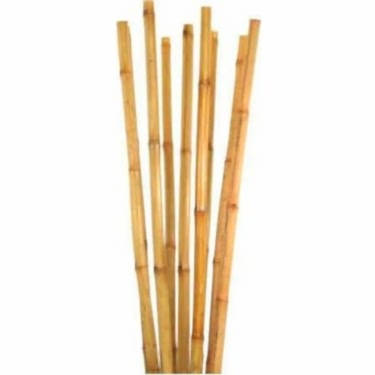 BAMBU BİTKİ DESTEK ÇUBUĞU 150 CM 50 ADET
