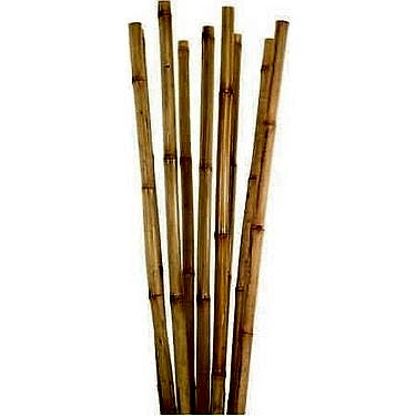 BAMBU BİTKİ DESTEK ÇUBUĞU 180 CM 10 ADET