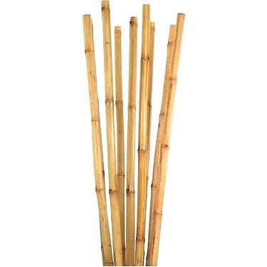BAMBU BİTKİ DESTEK ÇUBUĞU 180 CM 20 ADET