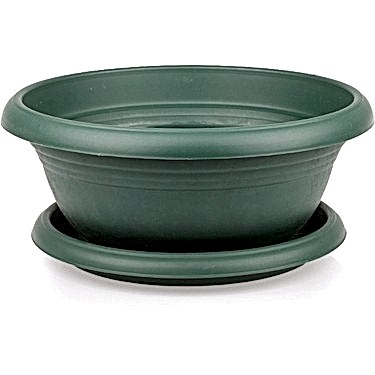 BONSAİ SAKSISI 3 ADET (TABAKLI 3.8 LT)