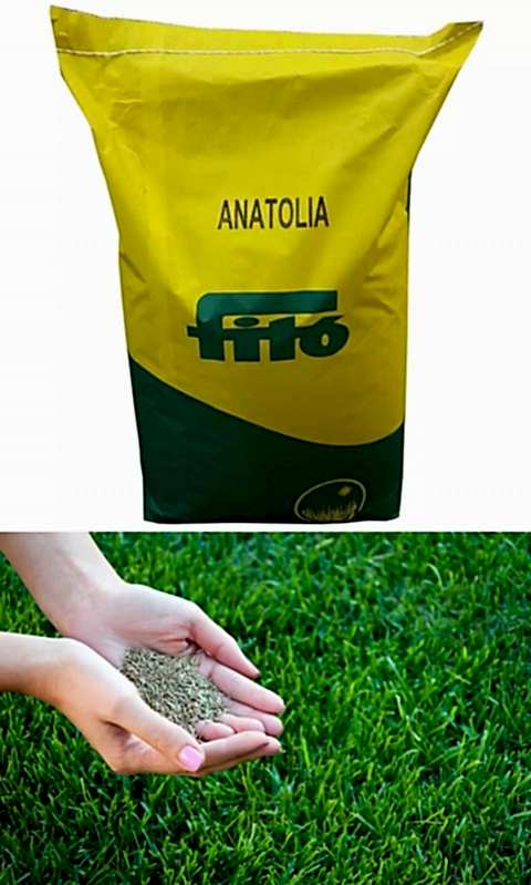 Fito Anatolia Çim Tohumu 500 GR