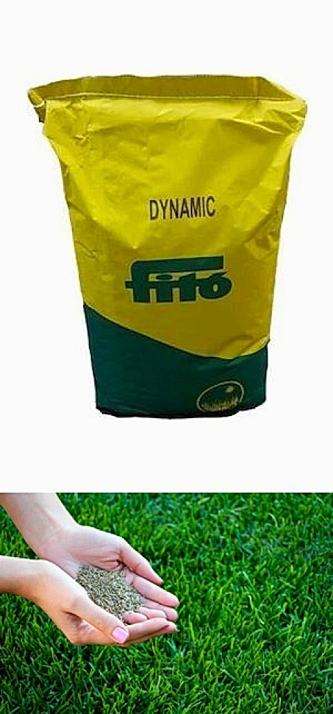 Fito Dynamic Çim Tohumu 100 GR