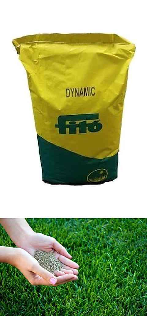 Fito Dynamic Çim Tohumu 1000 GR