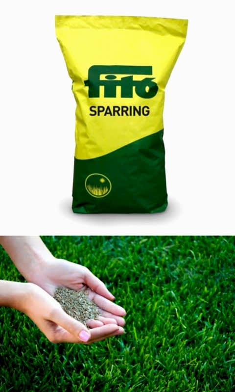 Fito Sparring Çim Tohumu 100 GR