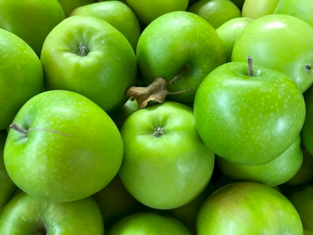 GRANNY SMITH ELMA FİDANI 1 ADET - Aşılı ve Tüplü