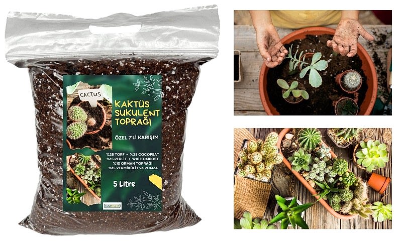 KAKTÜS SUKULENT TOPRAĞI 20 LT - 7'Lİ ÖZEL KARIŞIM(Akıllı Gübre Katkılı)