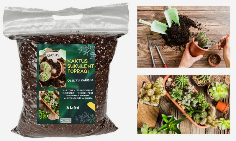 KAKTÜS SUKULENT TOPRAĞI 3 LT - 7'Lİ ÖZEL KARIŞIM(Akıllı Gübre Katkılı)