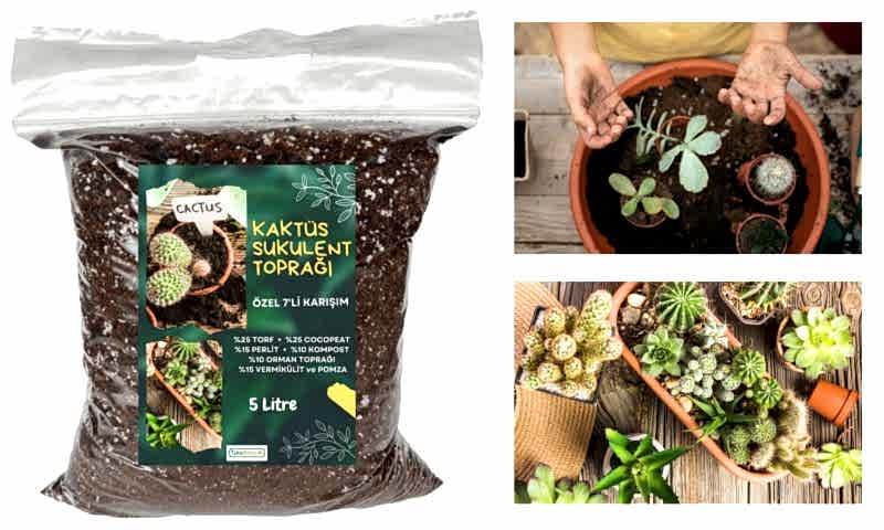 KAKTÜS SUKULENT TOPRAĞI 5 LT- 7'Lİ ÖZEL KARIŞIM(Akıllı Gübre Katkılı)