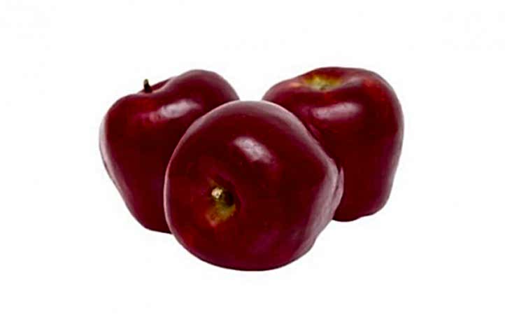 Red Chief Elma Fidanı 3 Yaş Tüplü ve Aşılı