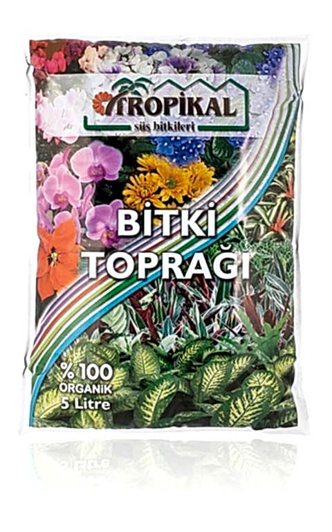 SUKULENT BAŞLANGIÇ SETİ / 10 BİTKİ- SAKSI-TOPRAK-BİTKİ BESİNİ