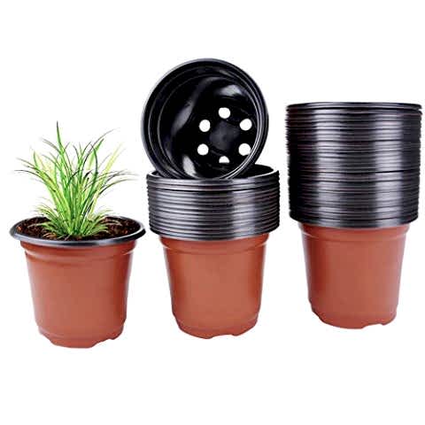 THERMOFORM VAKUM SAKSI 50 ADET - ÜRETİM SAKSISI 10.5 CM