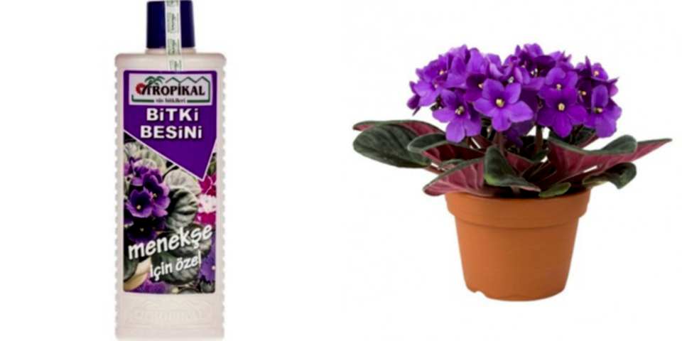 TROPİKAL BİTKİ BESİNİ - MENEKŞE İÇİN ÖZEL 1000 ML